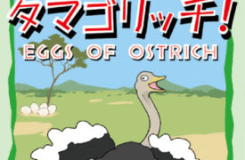 Eggs of Ostrich
